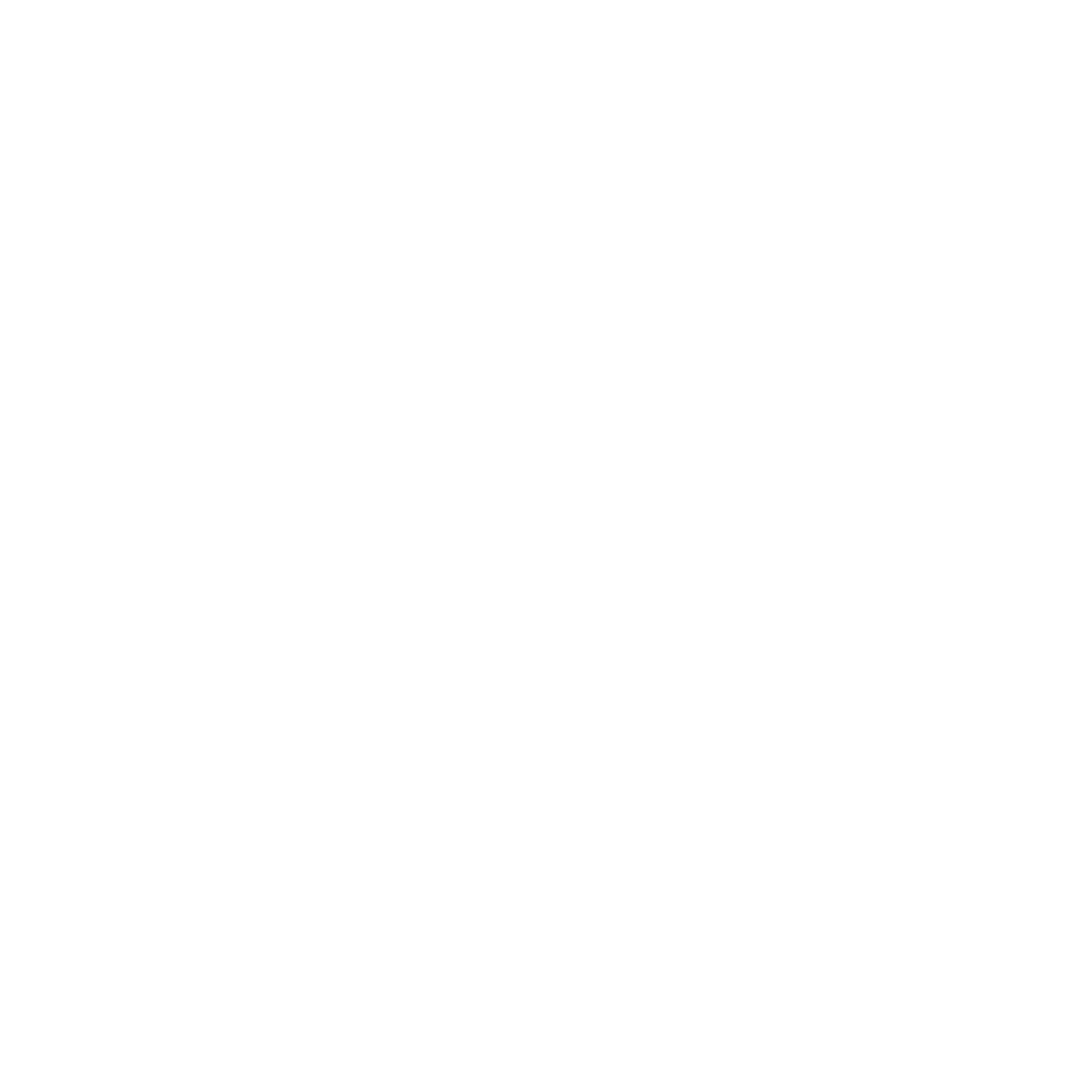 Logo INSUCE